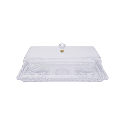 Plastic tray with lid