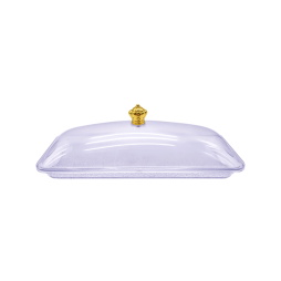 PET TRAY with LID