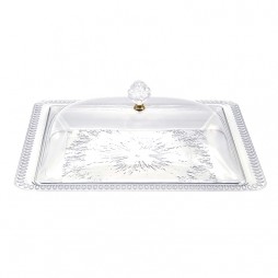 plastic tray with lid 