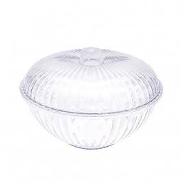 plastic bowl with lid 